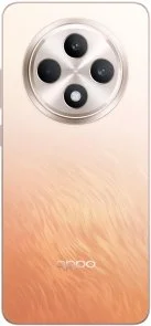 Фото: Смартфон OPPO Reno12 FS 5G CPH2637 12/512GB Amber Orange № 7 | KTC