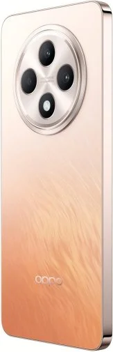 Фото: Смартфон OPPO Reno12 F CPH2687 8/256GB Amber Orange № 13 | KTC