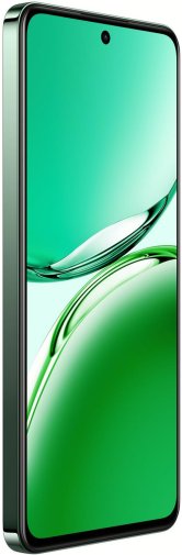 Смартфон OPPO Reno12 FS 5G CPH2637 12/512GB Olive Green